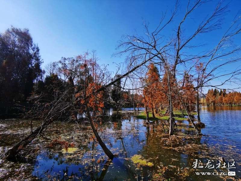 调监控需要通过公安机关吗-智能问答,机智答案